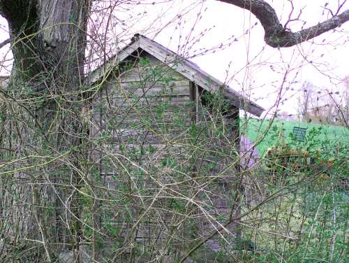 antique wood outhouse in vermont