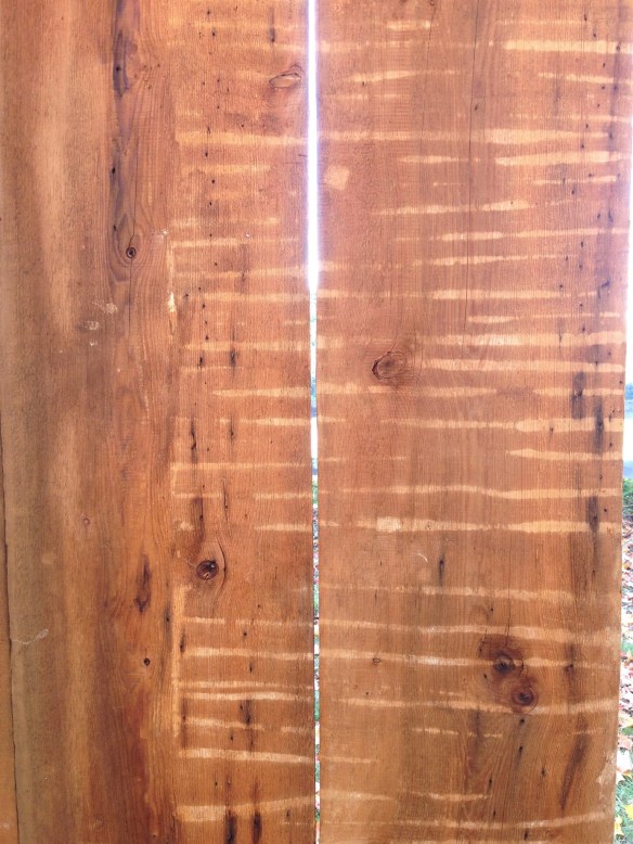 20 inch wide Sheating Boards