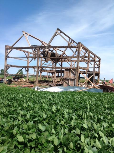 Former “meadow barn” surrounded by soybeans