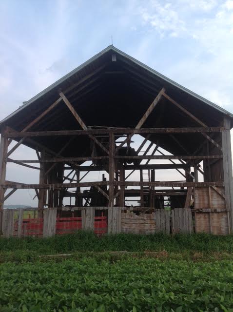 Pic 2_Gable end wall, loft space possible in roof rafters