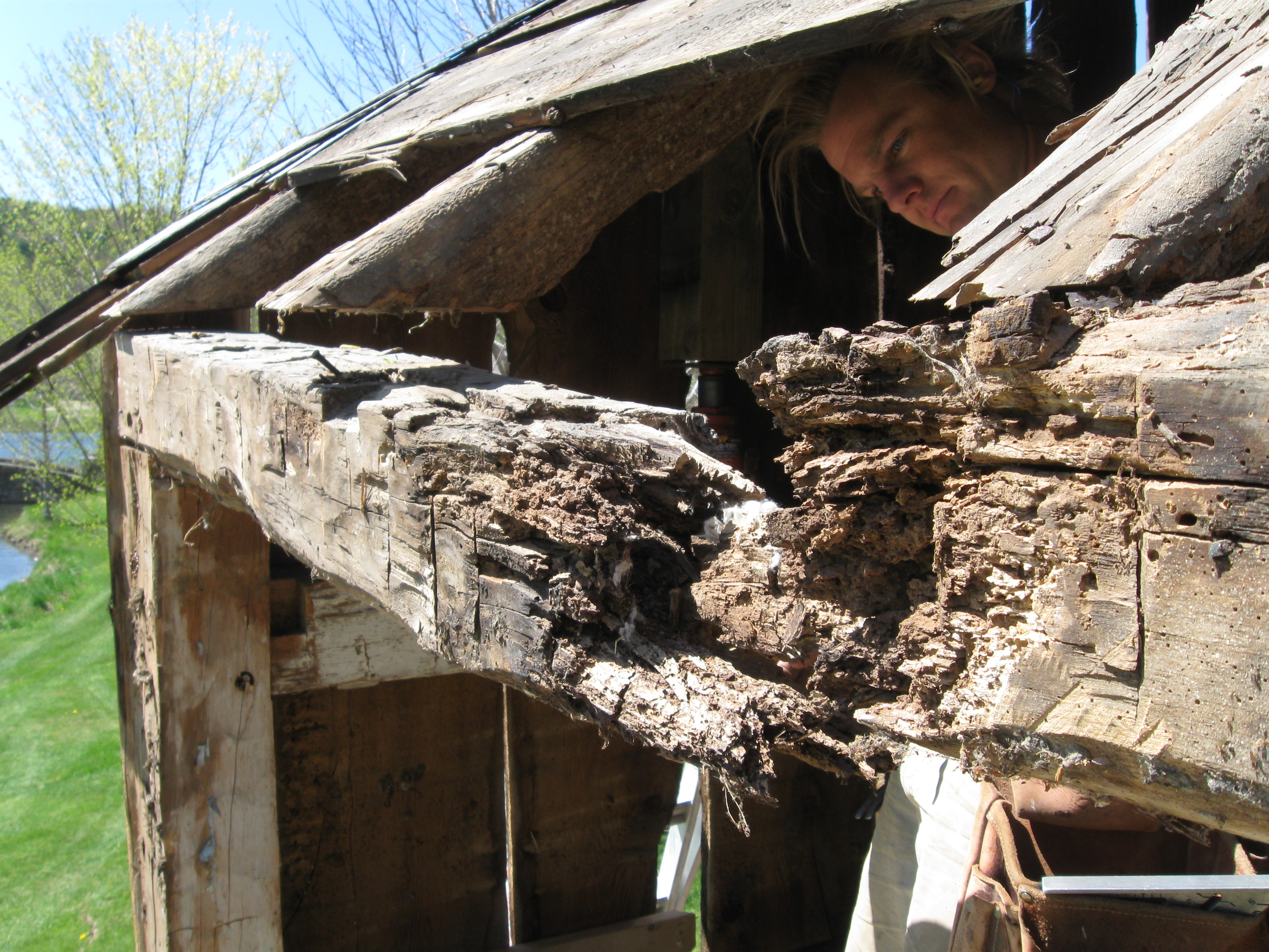 rotten-beam-in-antique-barn-green-mountain-timber-frames