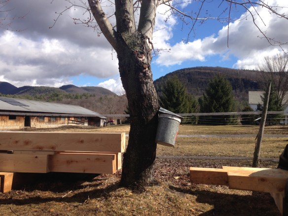 maple sugaring and timber framing