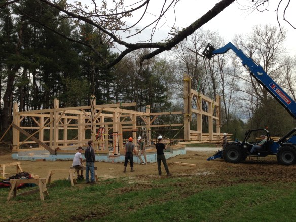 lifting final bent into timber frame baren