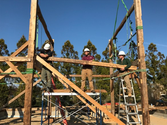 Installing horizontal timbers to connect bents