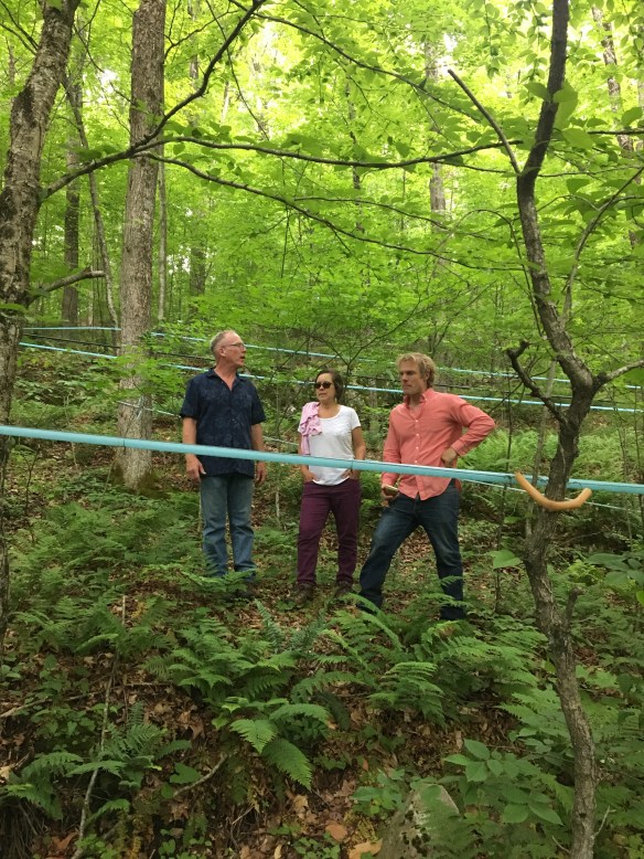 Green Mountain Timber frames new home in Vermont 3