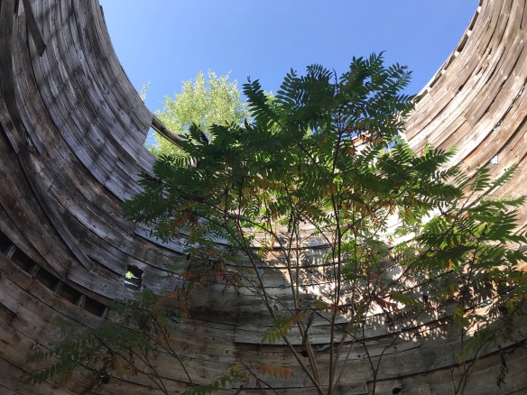 a tree grows in the silo green mountain timber frames