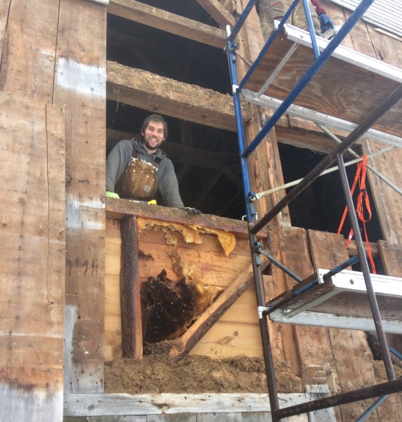 discovering an old bee hive in the benson old barn for sale green mountain timber frames