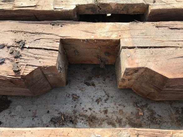 full lenth summer beams up close  |  rupert granary | green mountain timber frames