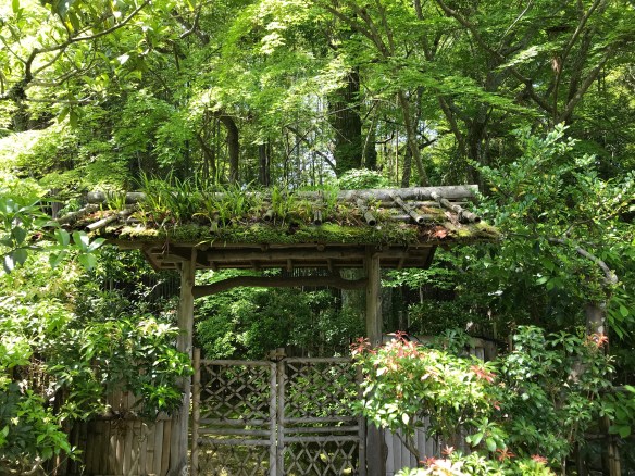 Japanese garden gate |  green mountain timber frames