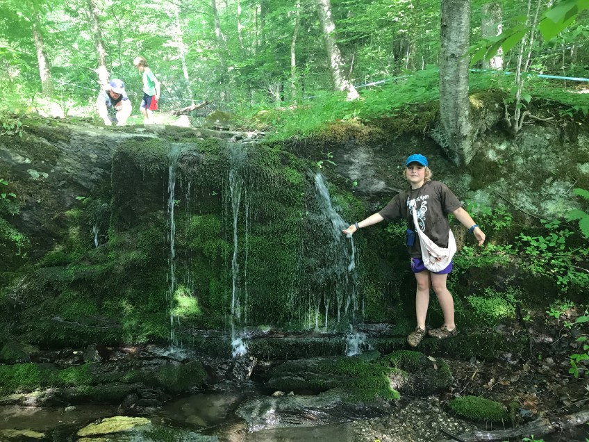 Our maple grove_green mountain timber frames and gardens