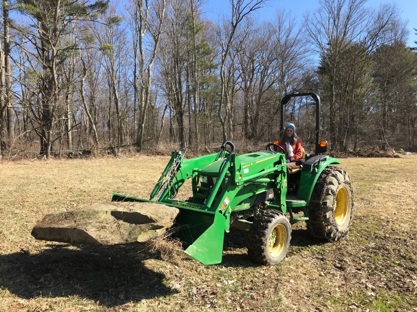 tractor collecting rocks to build foundation for restored barn